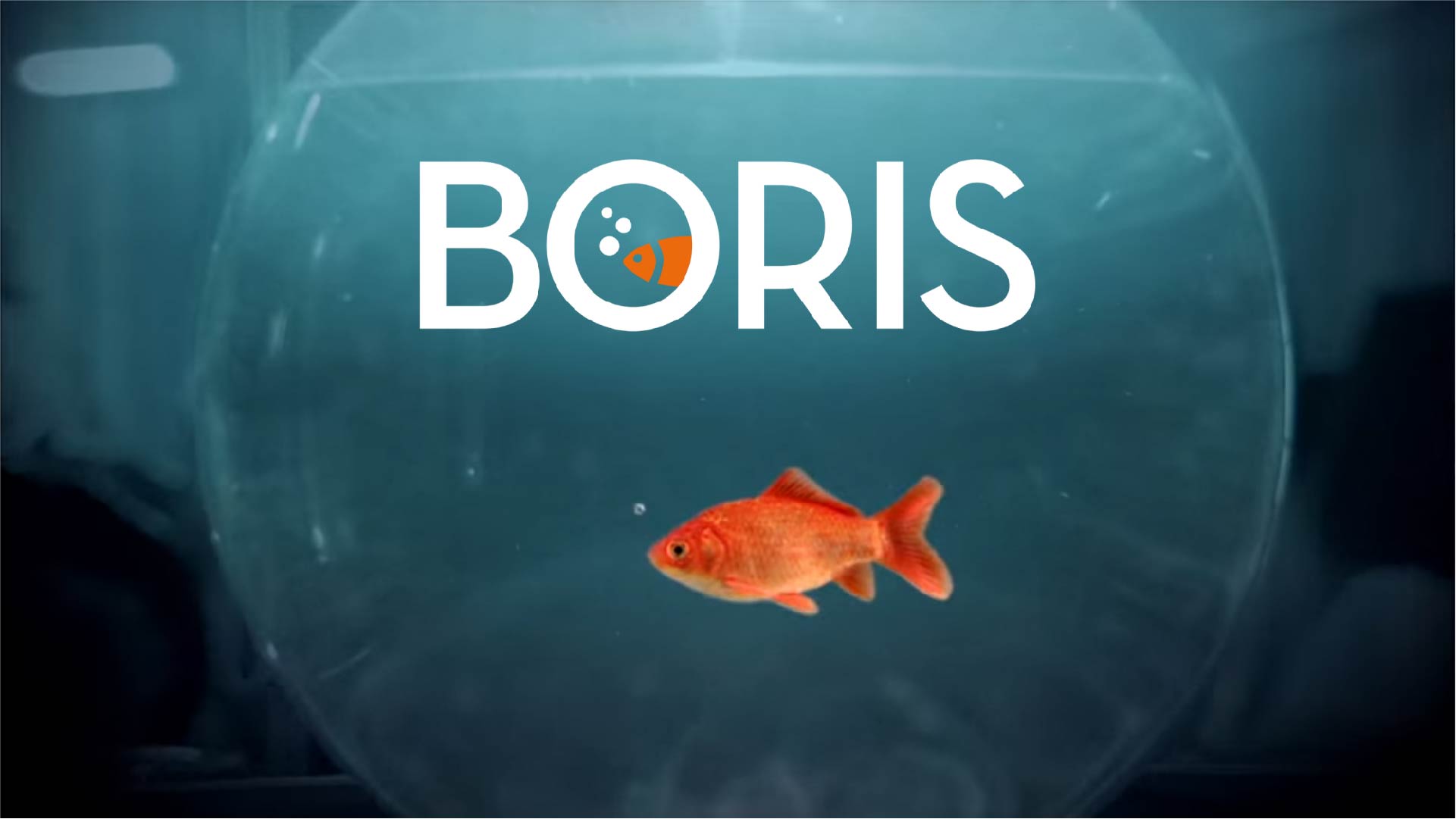 Boris 4 guida sulla serie su Disney+, trama, cast e temi trattati nella serie tv