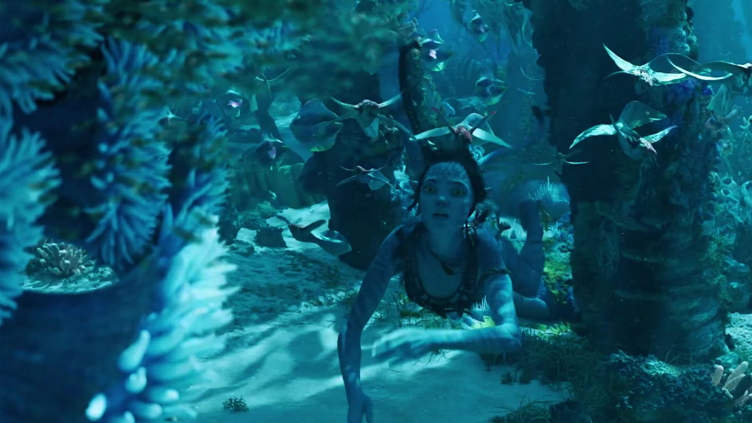 avatar trama terzo film