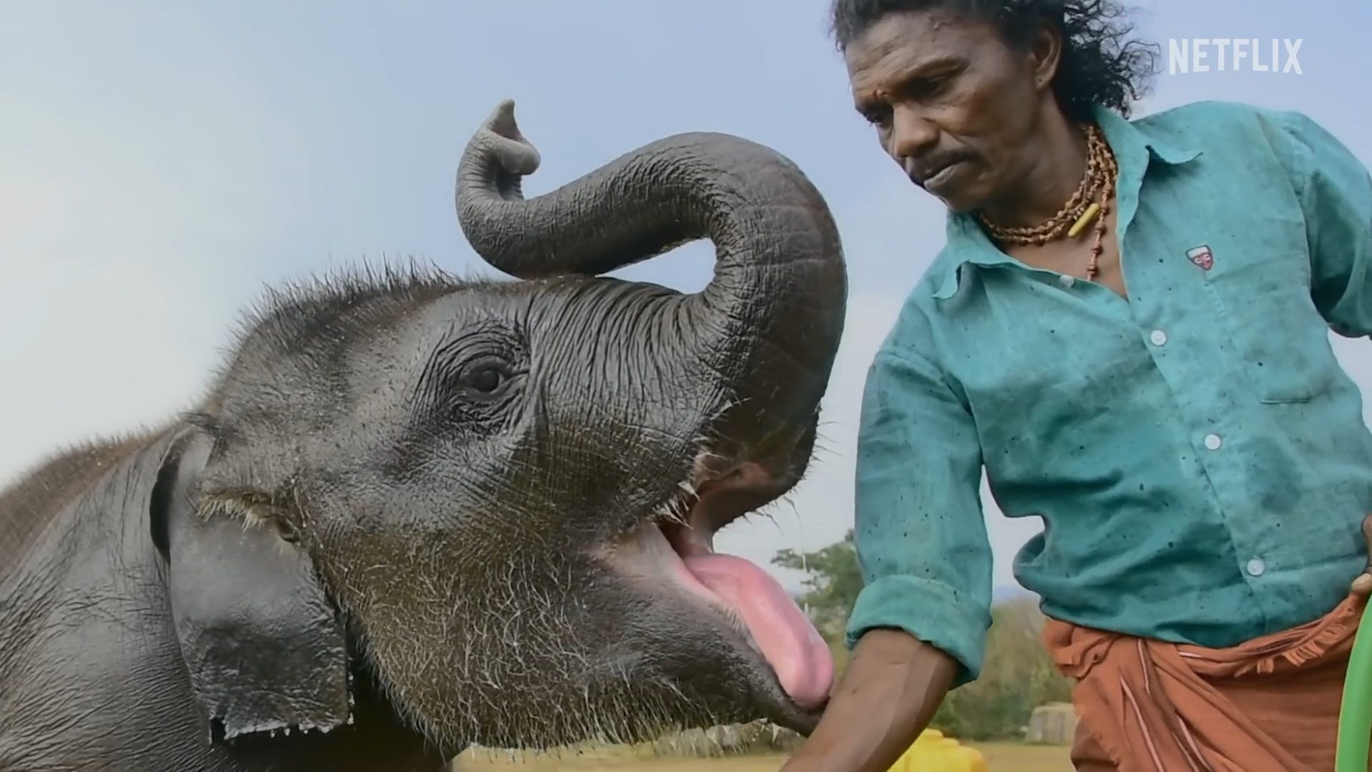 Raghu, il piccolo elefante ha vinto l'Oscar come Miglior Cortometraggio Documentario