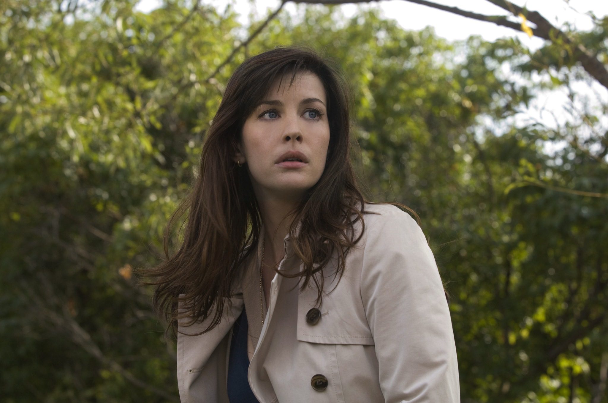 Liv Tyler torna ad interpretare Betty Ross nel nuovo Captain America