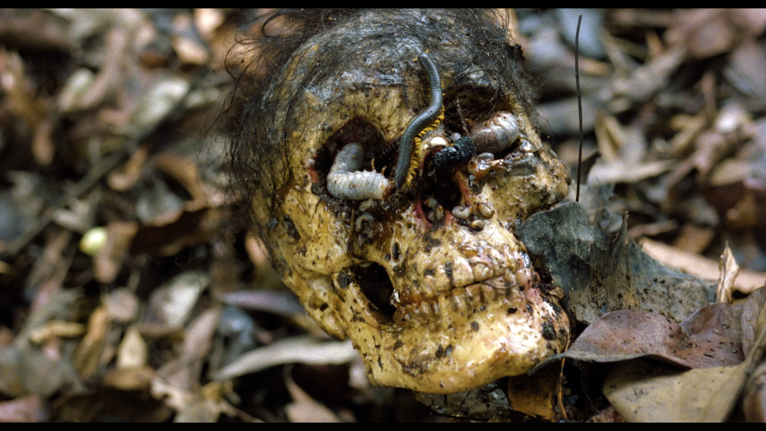 Cannibal Holocaust di Ruggero Deodato torna al cinema