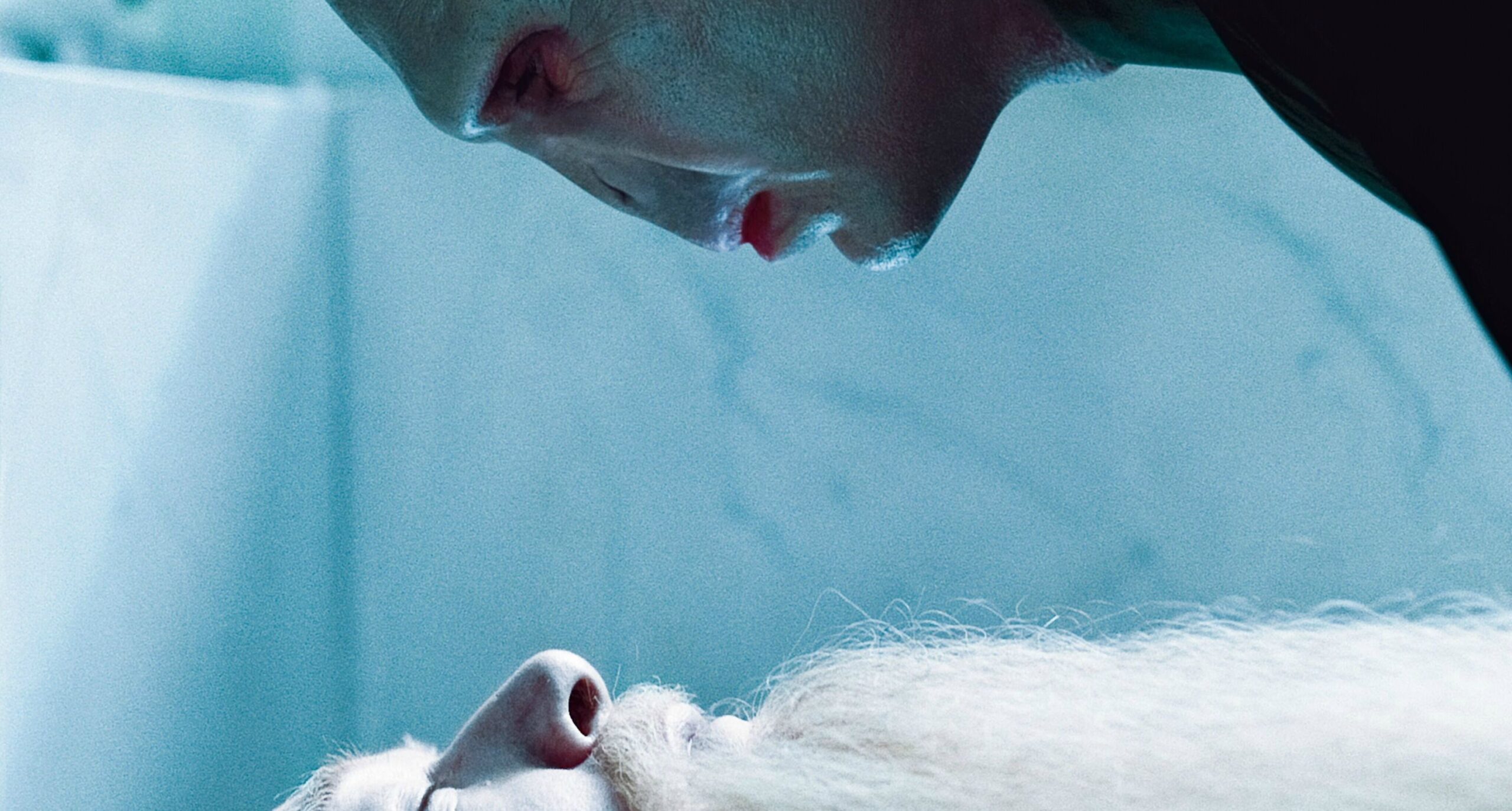 La recensione di Harry Potter e i doni della morte parte 1, con Daniel Radcliffe