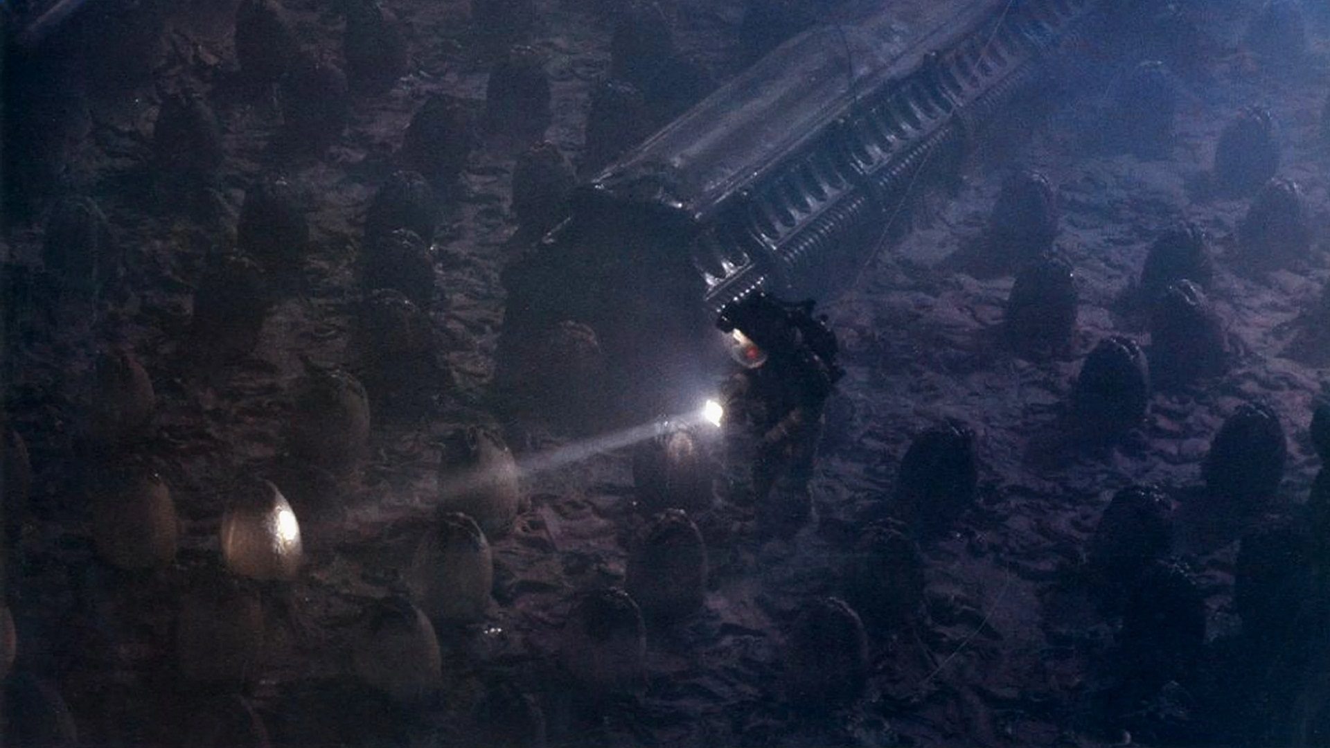 Recensione - Alien, il primo film della saga diretto da Ridley Scott