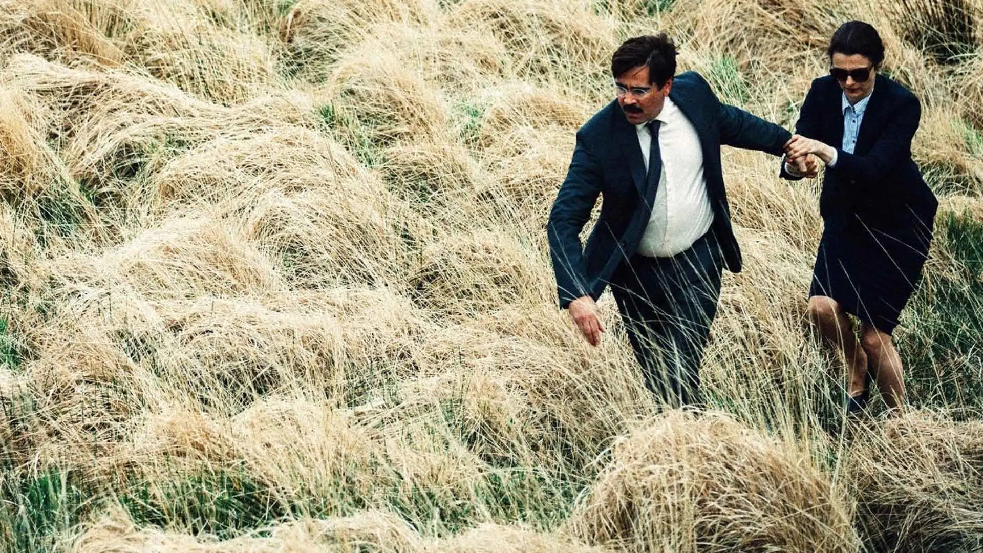 Recensione - The Lobster: il capolavoro di Yorgos Lanthimos