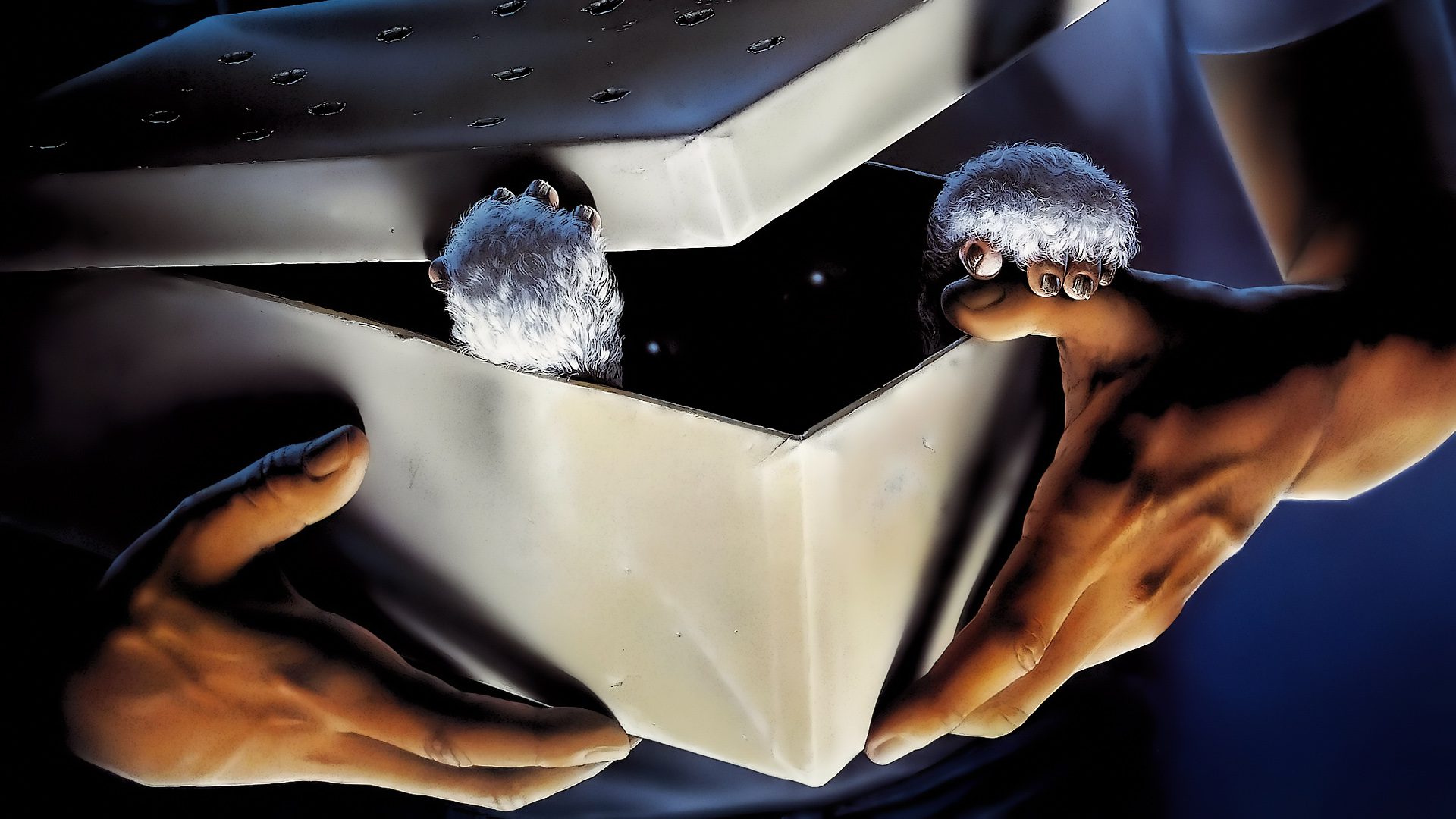 Segue la recensione del film Gremlins