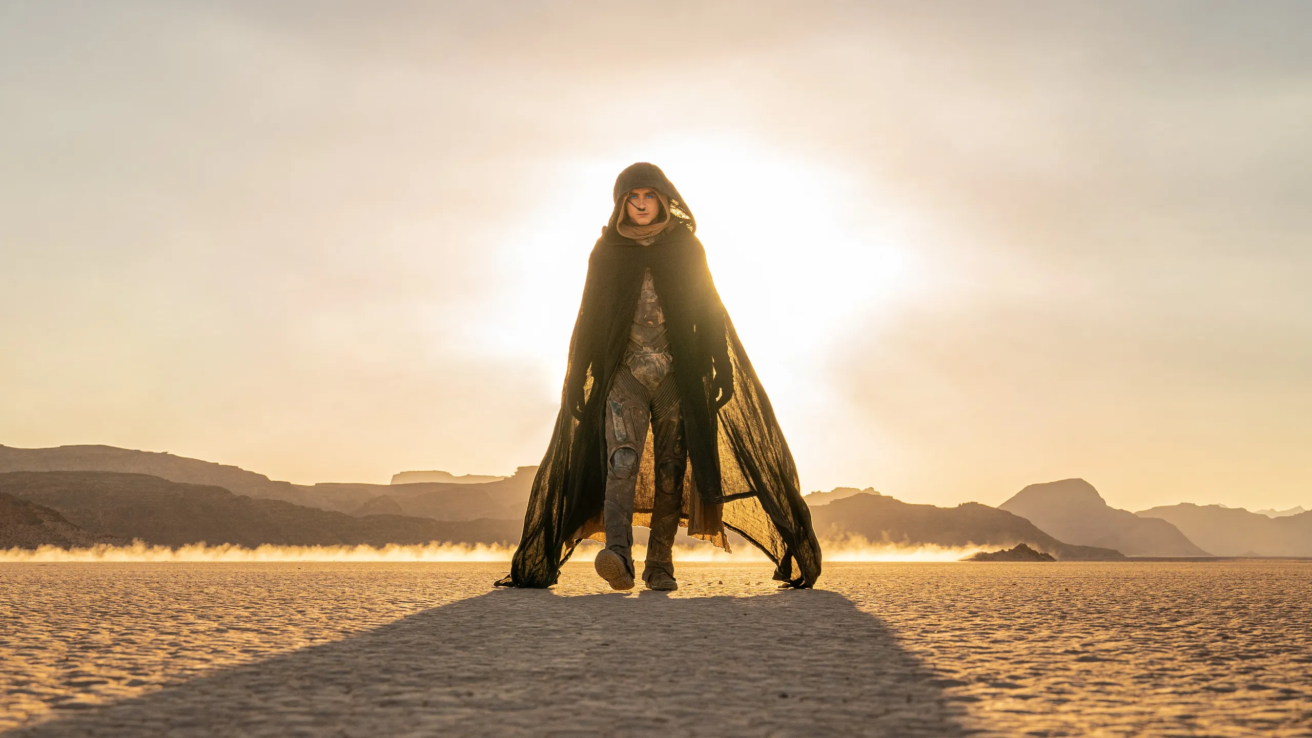 i risultati al box office di Dune: Parte 2