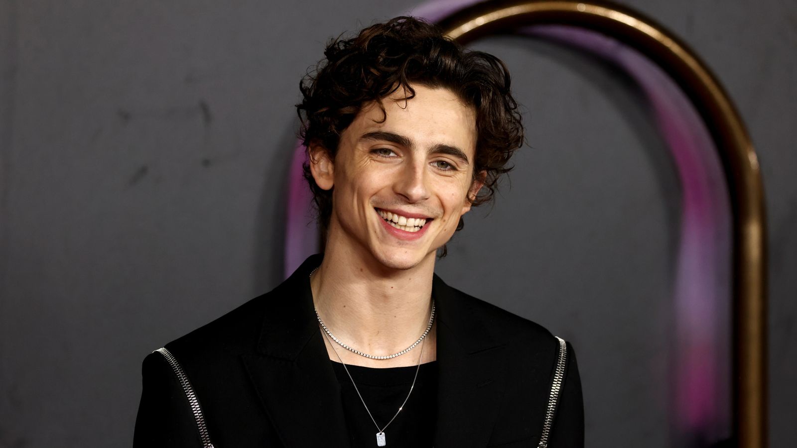 Timothée Chalamet: tutti i film e le serie TV dove ha recitato