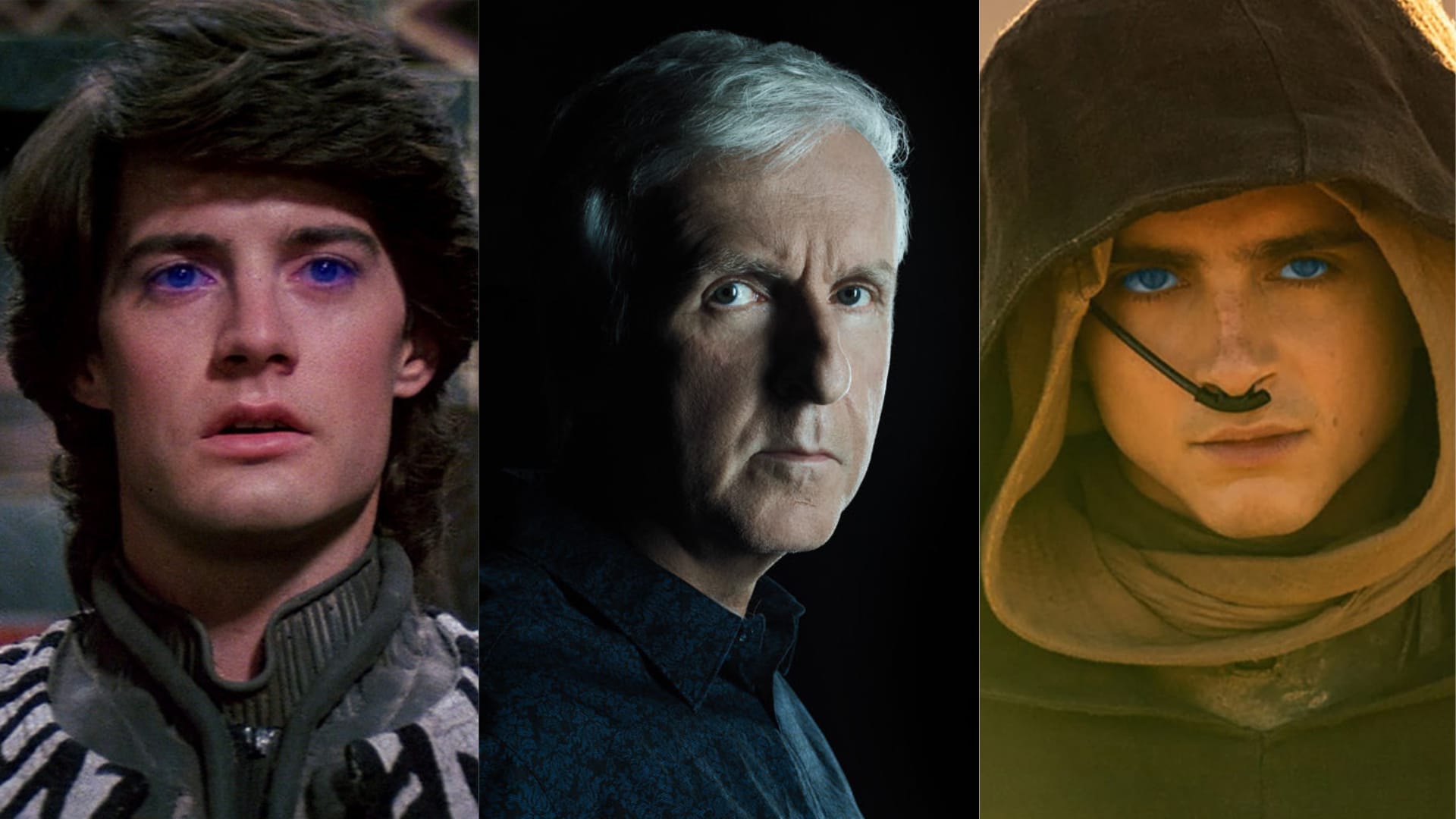 James Cameron ama Dune di Denis Villeneuve