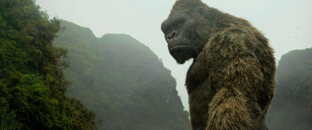i migliori film di King Kong: la top