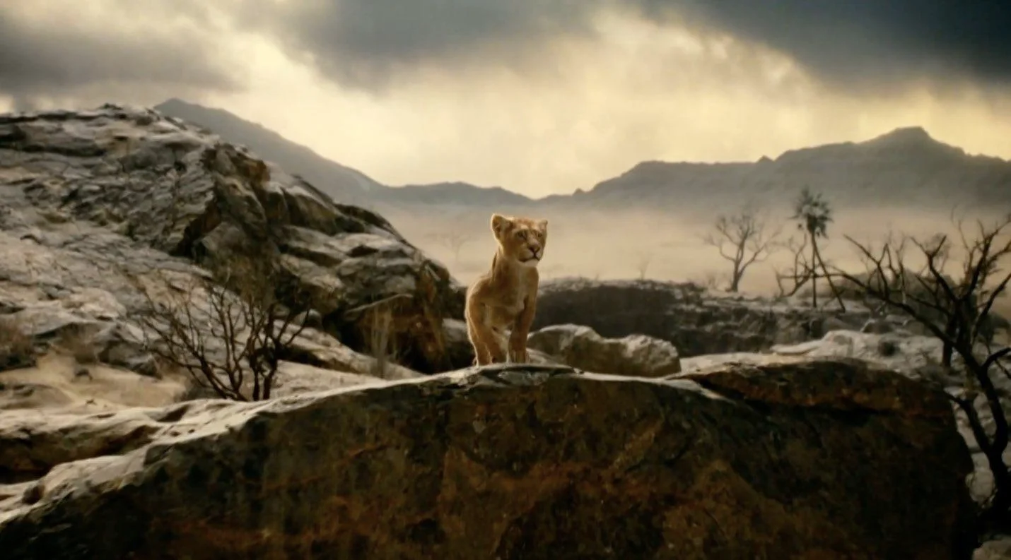 Mufasa - Il Re Leone: data di uscita del live action Disney