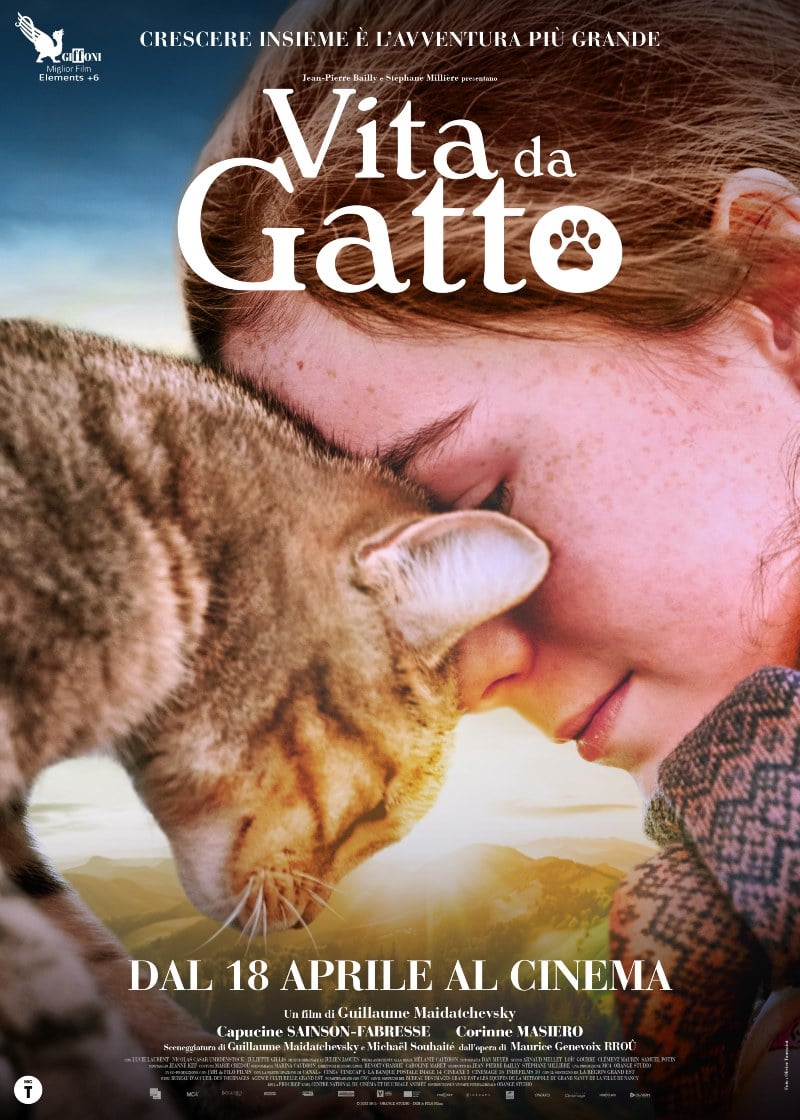 La recensione di Vita da gatto, scritto e diretto da Guillaume Maidatchevsky