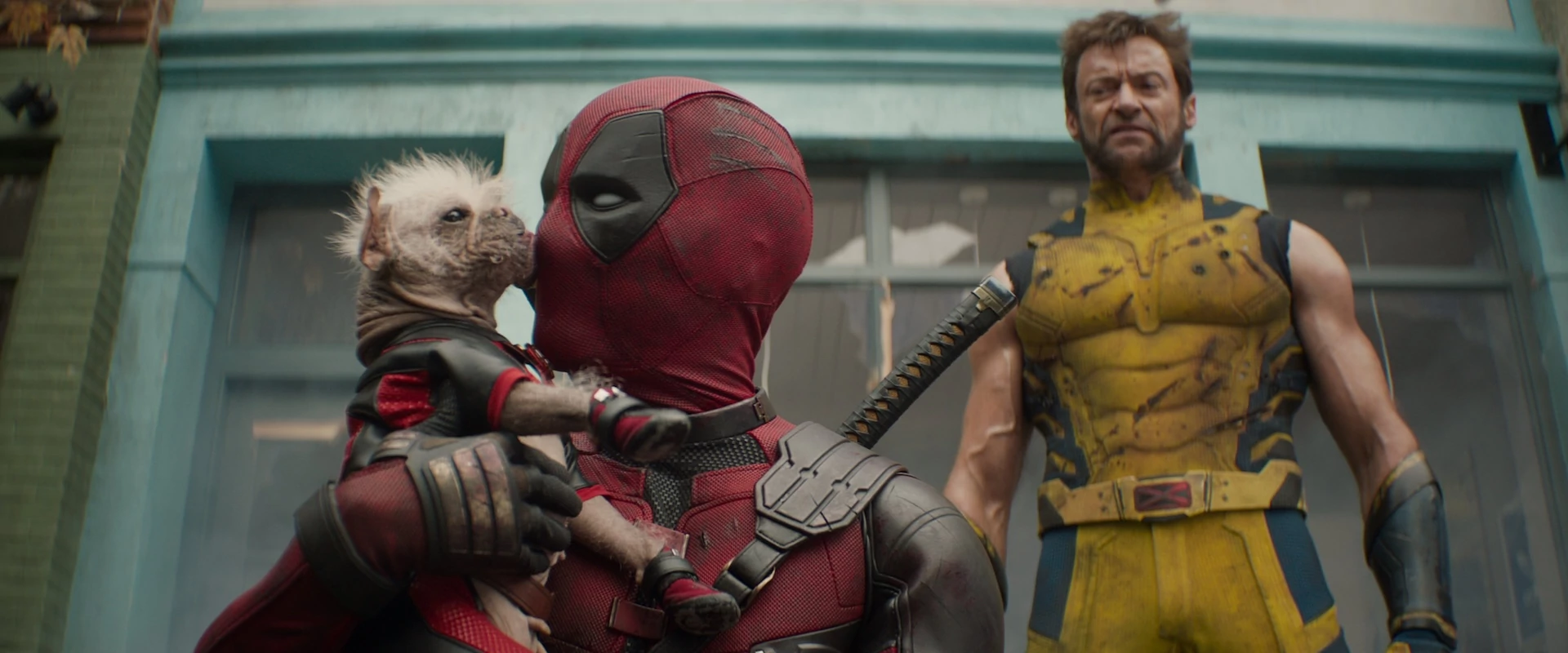 Chi è il cane di Deadpool E Wolverine