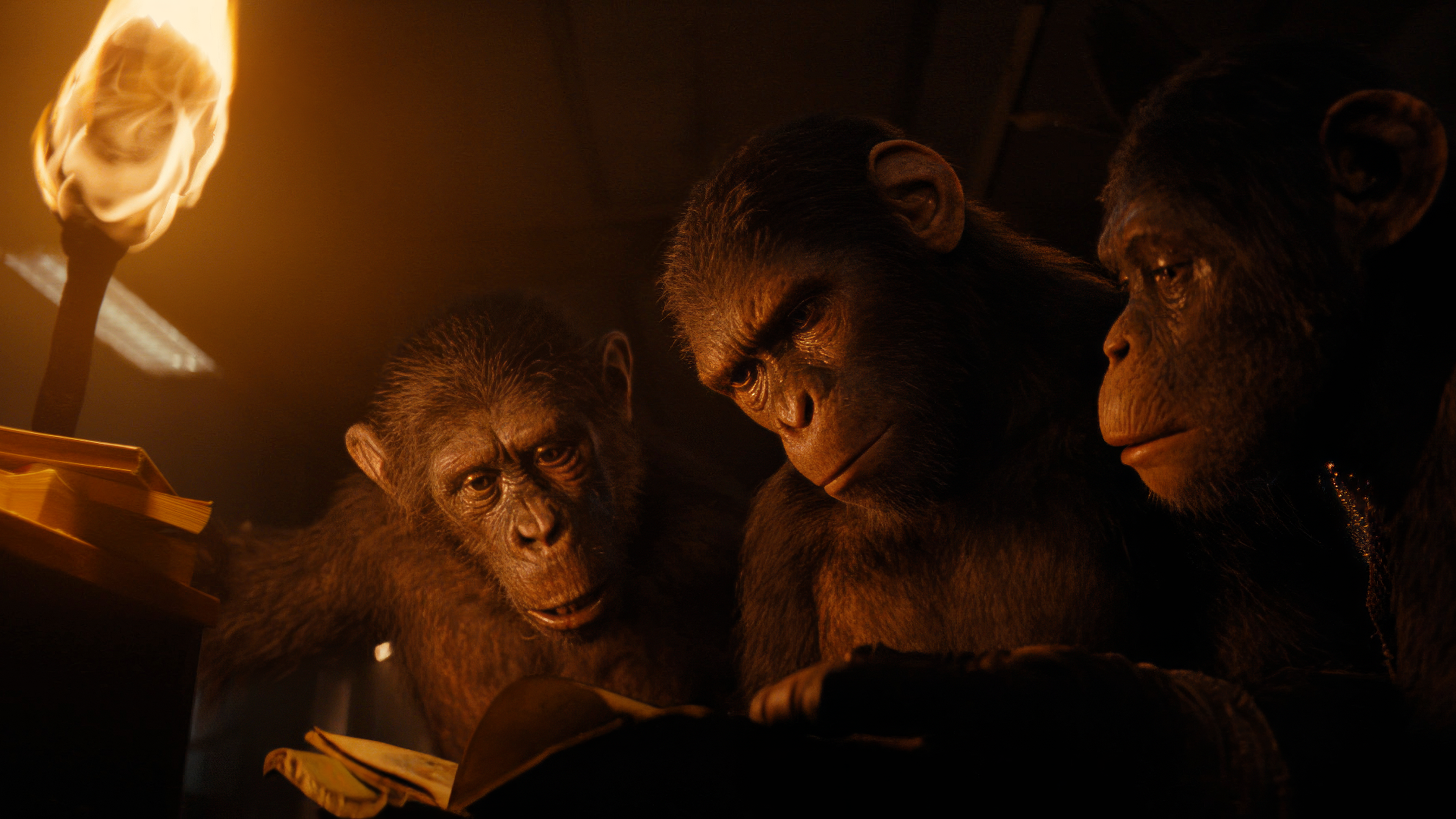 Oscar 2025: Il Regno del Pianeta delle Scimmie sarà candidato per gli effetti visivi?