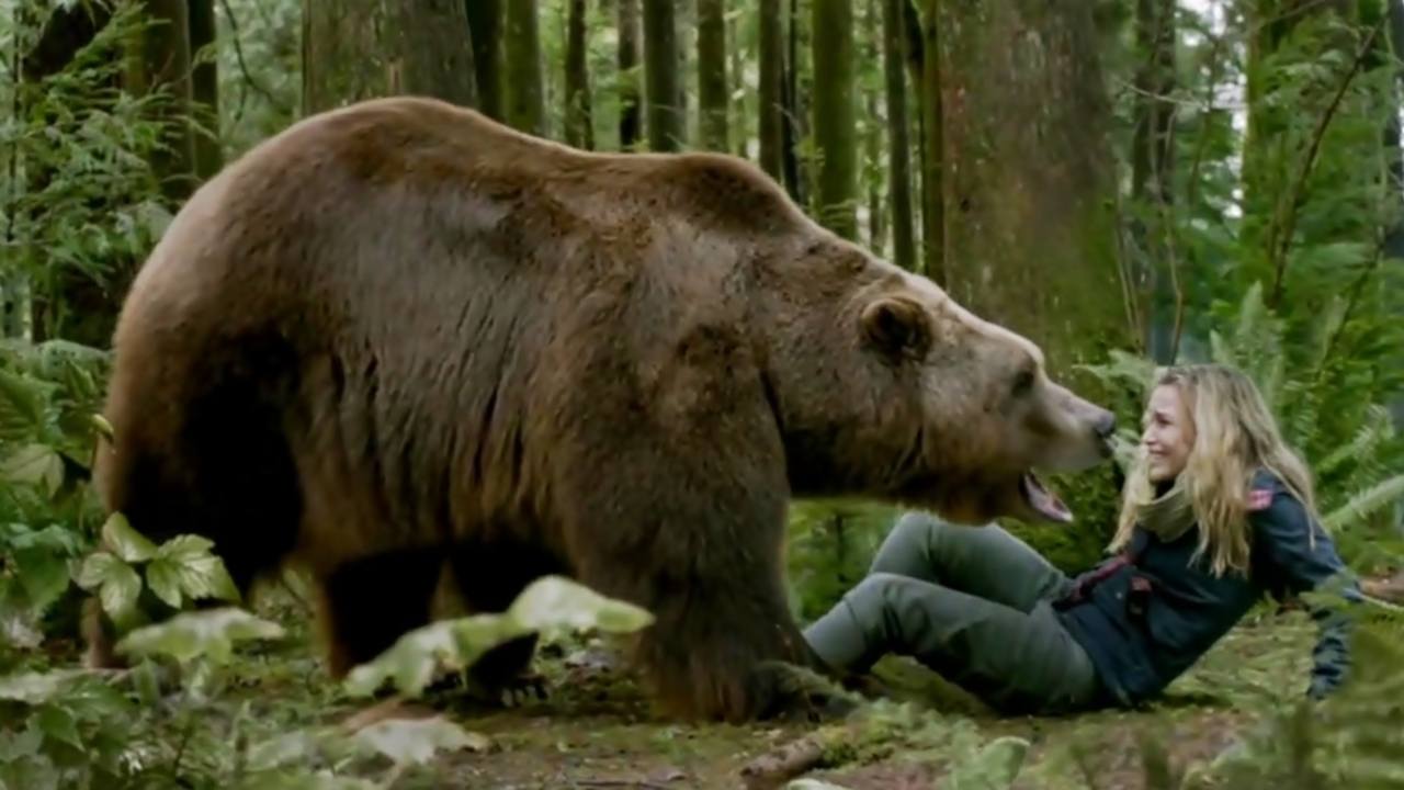 Il labirinto del grizzly: come finisce? La trama e la spiegazione del finale del film