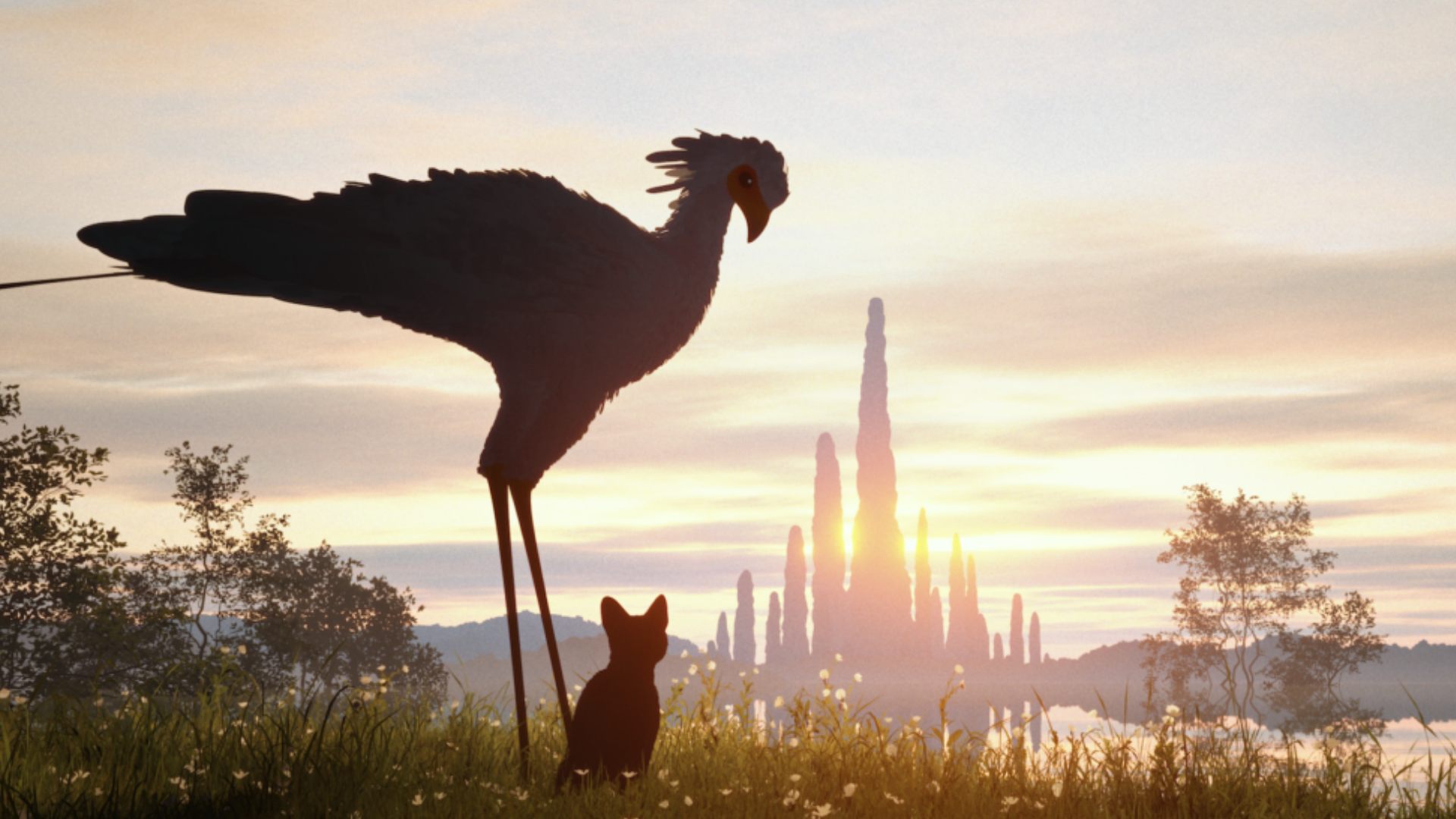 Flow 2024 spiegazione finale film d'animazione