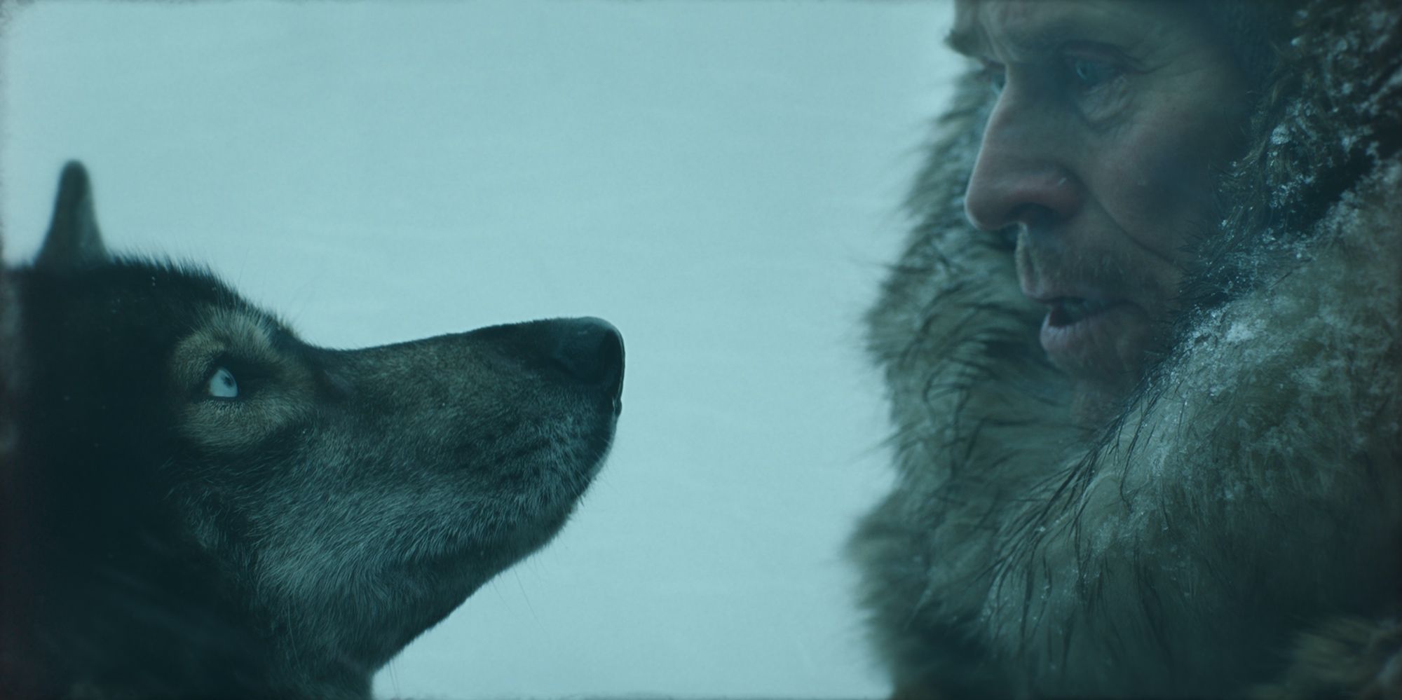 Togo - Una grande amicizia: la spiegazione del finale e la storia vera del film con Willem Dafoe