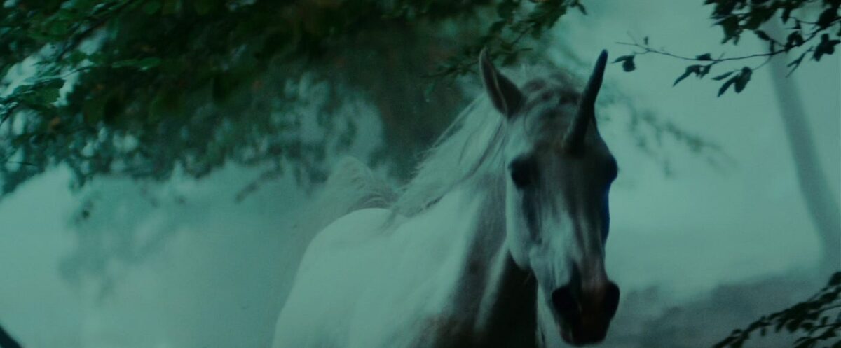 Un'immagine dell'unicorno di Blade Runner sognato da Rick Deckard (Harrison Ford)