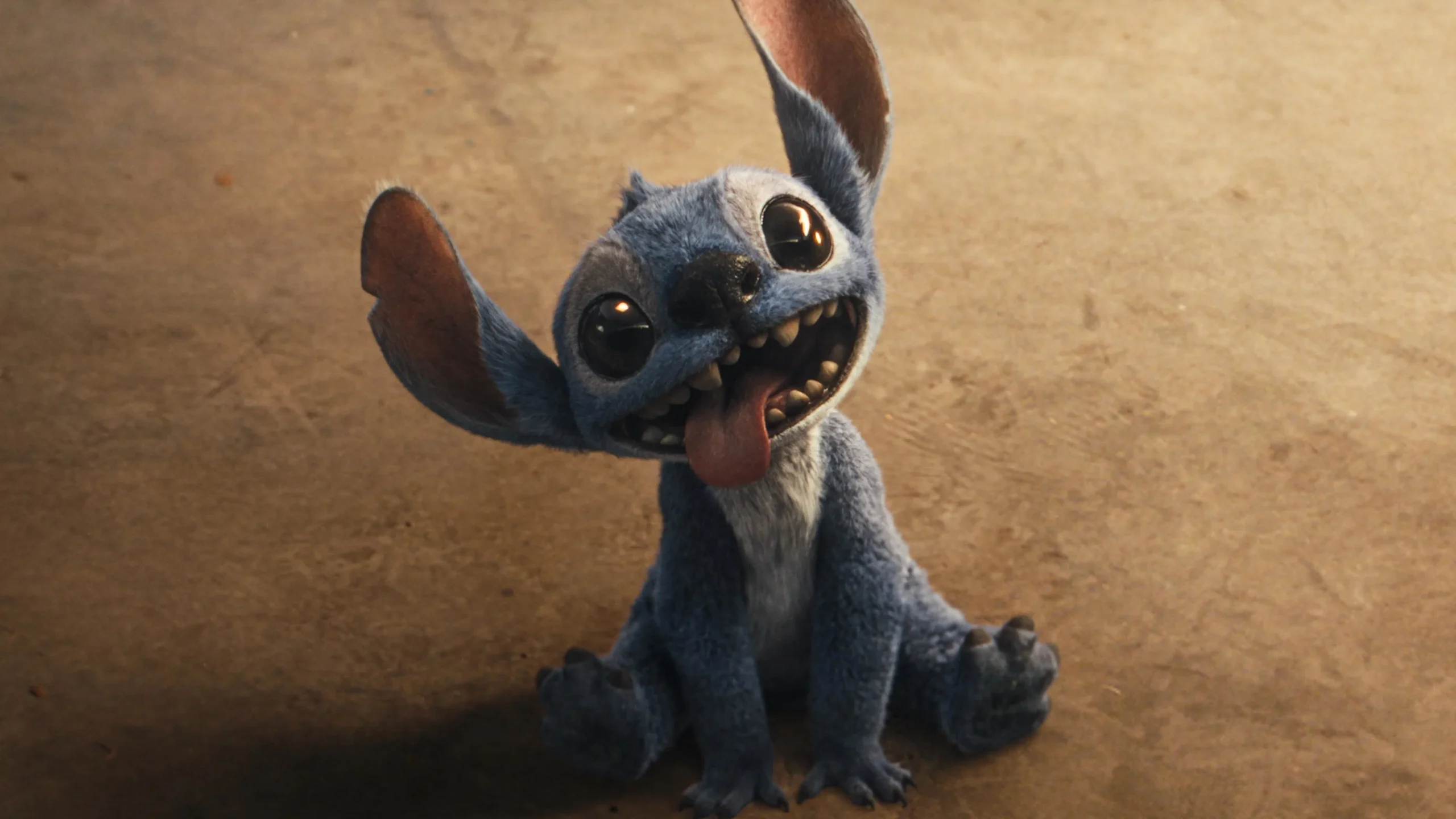 Lilo & Stitch: quando e dove vedere in streaming il live action Disney del 2025?