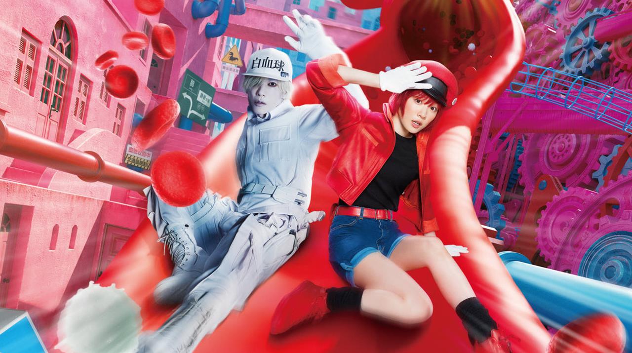 Cells at Work!: come finisce? La spiegazione del finale del film giapponese su Netflix
