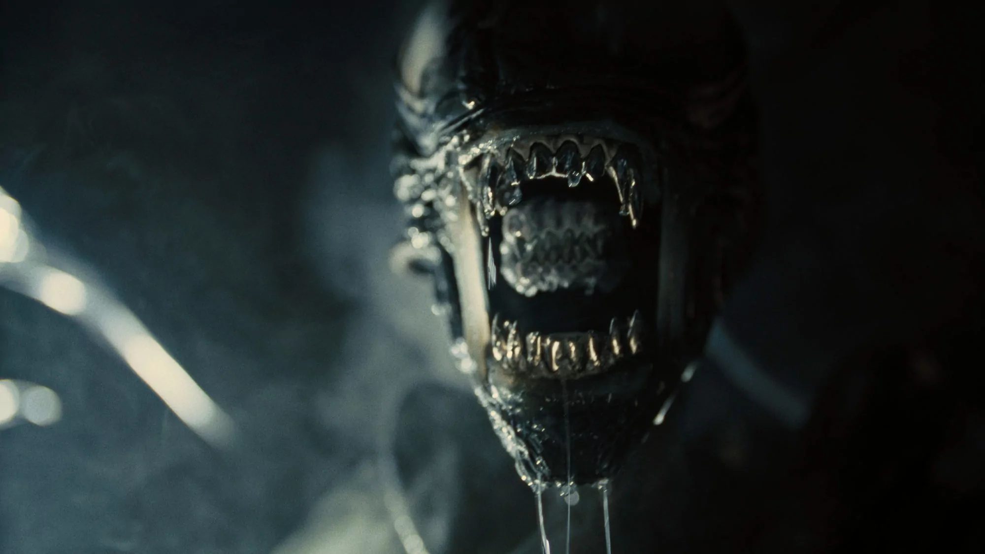Alien Romulus avrà dei sequel?