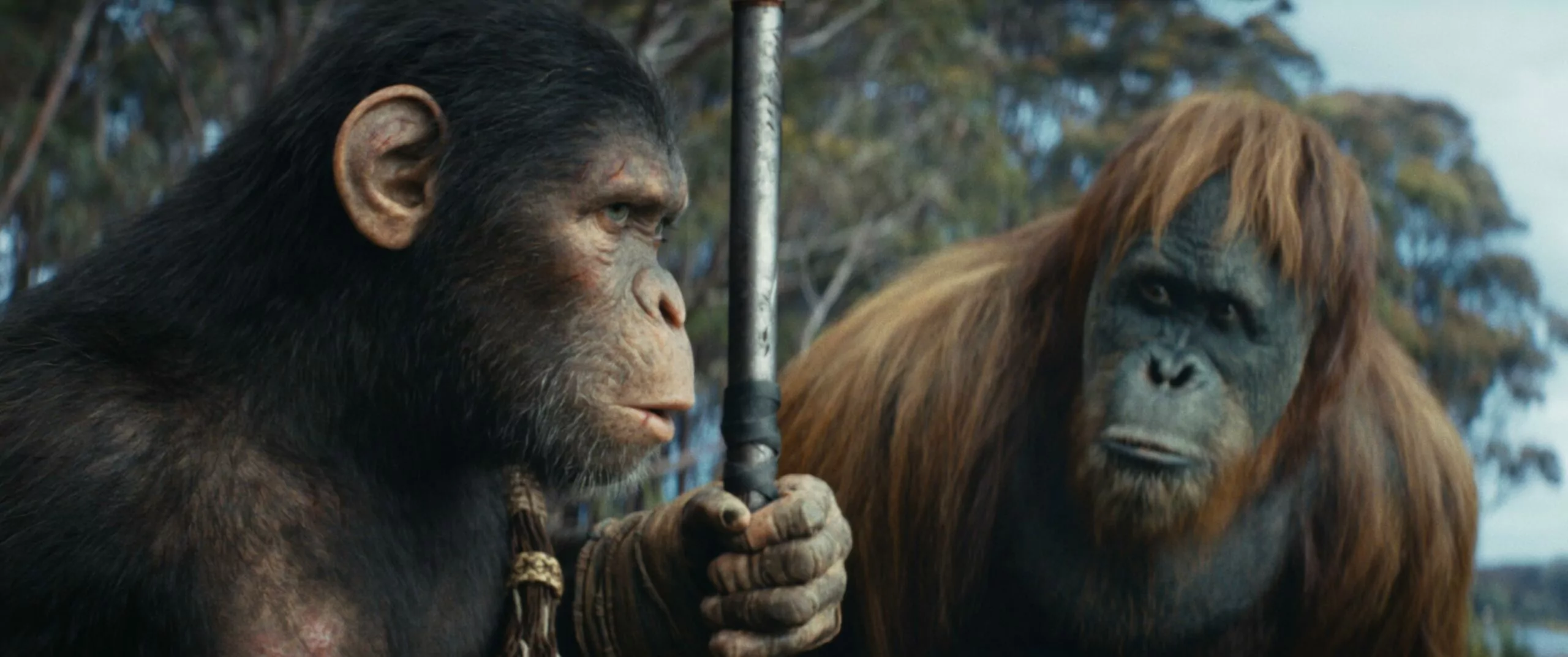 Quando esce il nuovo film di Il Pianeta Delle Scimmie