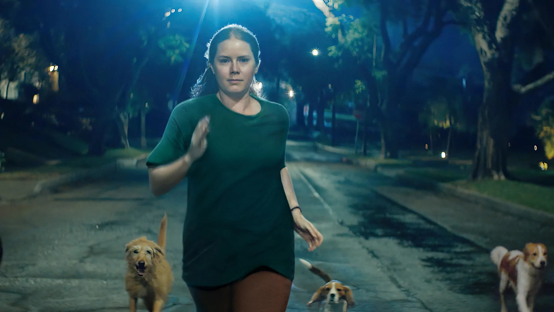 recensione film 2024 horror con Amy Adams: Nightbitch