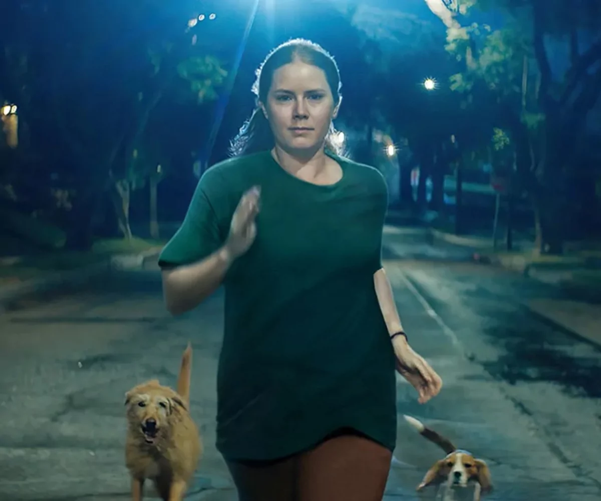 La trama, il trailer, il cast e quando vedere in streaming su Disney+ Nightbitch, con Amy Adams