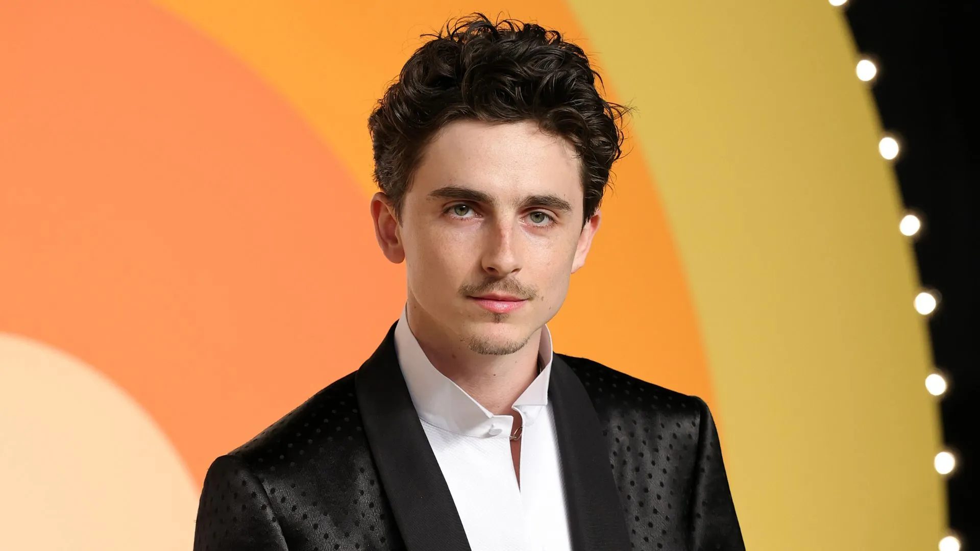 Timothée Chalamet riceverà il David Speciale ai David di Donatello 2025